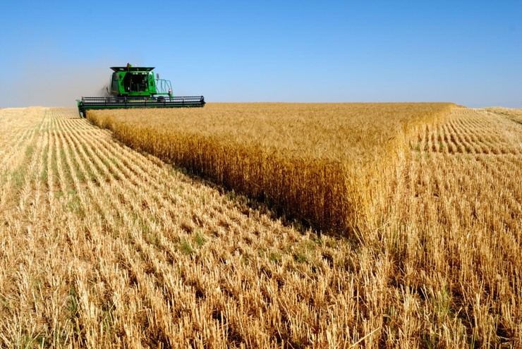 Récord histórico en la producción agraria española: 68.430 millones de euros en 2024