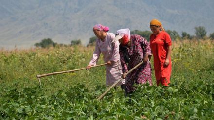 Combatir la desigualdad de género aumentaría el producto interior bruto mundial en un 1%