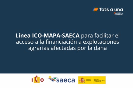 Ayudas de hasta 275 millones de euros para agricultores afectados por la dana