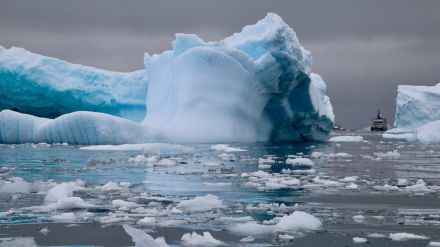 ¿Nicotina y antidepresivos en aguas de la Antártida?