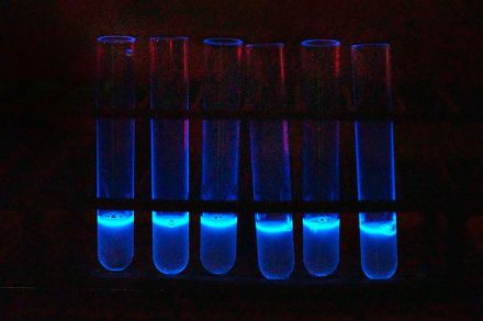 Estudios: Genes 'iluminados' detectan bacterias nocivas de los alimentos