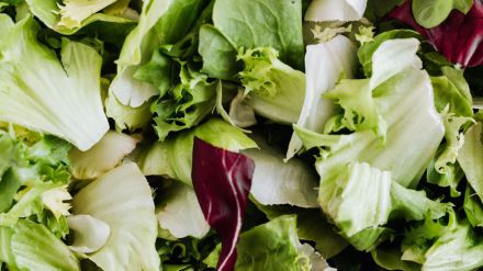 Las ensaladas listas para consumir pueden contener bacterias causantes de enfermedades