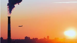 Las catastróficas consecuencias del verano más caluroso