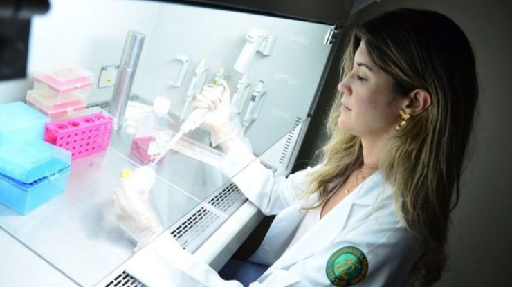 Ciencia: Un estudio puede llevar al tratamiento de un tipo de cáncer que afecta al sistema endocrino en niños
