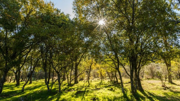 La Comunidad de Madrid amplía el Parque Nacional de la Sierra de Guadarrama
