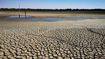 CSIC / Laguna de Santa Olalla, en Doñana, Carmen Díaz Paniagua