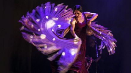La Comunidad de Madrid se despide de Suma Flamenca 2023