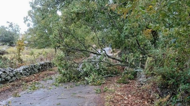 El viento causa diversas incidencias en la provincia de Ávila