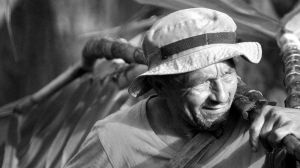 Los efectos mortales de trabajar al aire libre bajo el sol