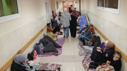 Israel-Palestina: Más de 13.000 civiles han muerto