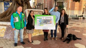 El popular e histórico ficus de Castellón será imagen del cupón de la ONCE