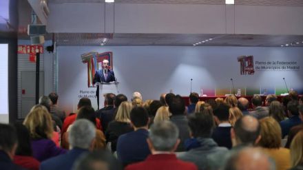 El delegado del Gobierno pide a los alcaldes y alcaldesas de la Comunidad que incorporen a sus Policías al sistema VioGén