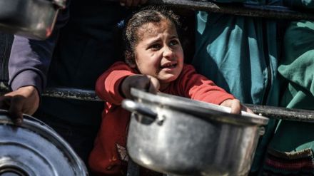 Israel-Palestina: Más de 200 palestinos muertos y 338 heridos en sólo dos días