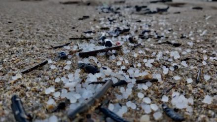 Vertido de pellets: Las organizaciones ecologistas piden más coordinación y transparencia