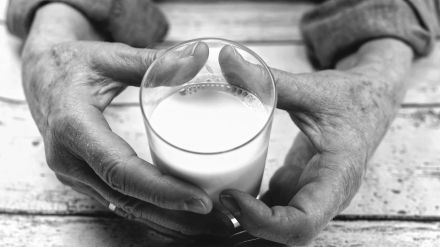 Un componente de los lácteos podría ayudar a prevenir el envejecimiento cognitivo