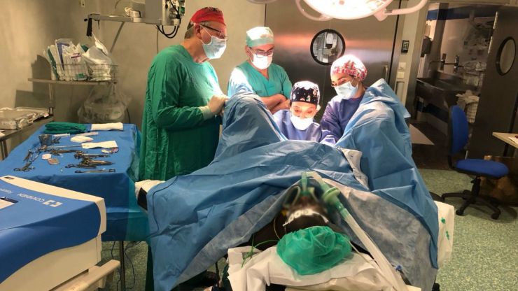 La Comunidad Valenciana atiende a 147 mujeres con mutilación genital y realiza 43 reconstrucciones quirúrgicas