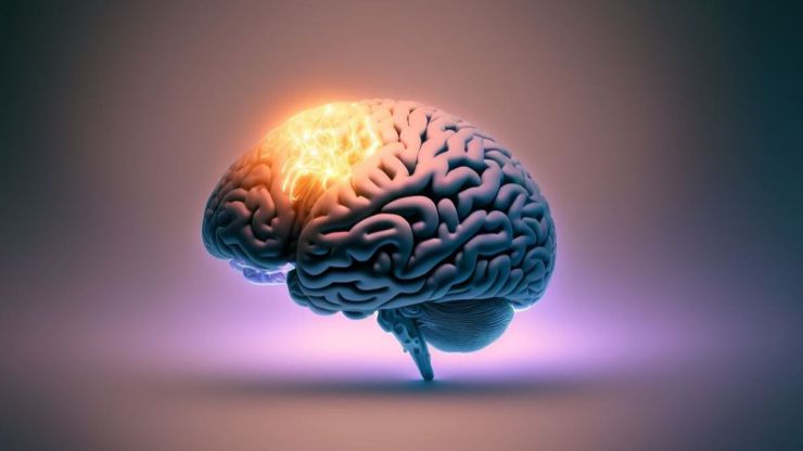 Ciencia: Una proteína puede indicar la gravedad del cáncer en el cerebro