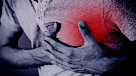 La ciencia al habla: Demostrado el efecto dual de la grasa pericárdica en pacientes con infarto agudo de miocardio