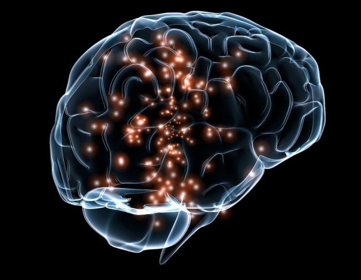 ¿Sabías que...?: El cerebro humano supera a la IA en la resolución de problemas complejos