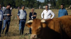 La Comunidad de Madrid aumenta más de un 56% las ayudas a jóvenes agricultores y ganaderos