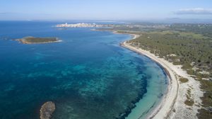 Cinco curiosidades que quizá no conocías de Mallorca