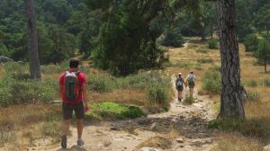 Cuatro nuevas Rutas Verdes para disfrutar de la naturaleza y la historia de la Comunidad de Madrid