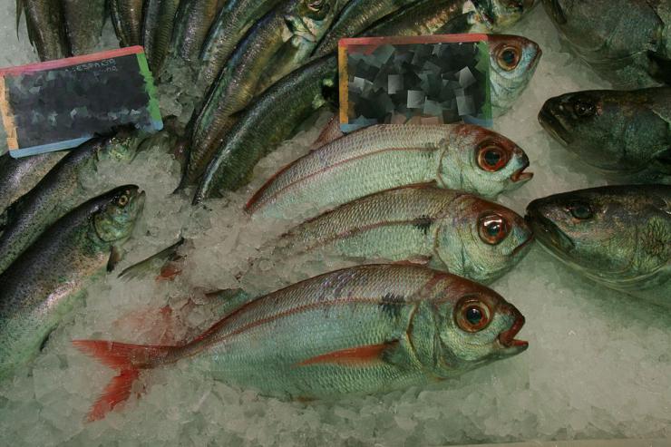 España cierra la pesqueria de sardina ibérica y besugo