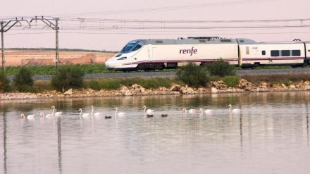 Se restablece el tren entre València y Alicante desde el 16 de diciembre tras la DANA