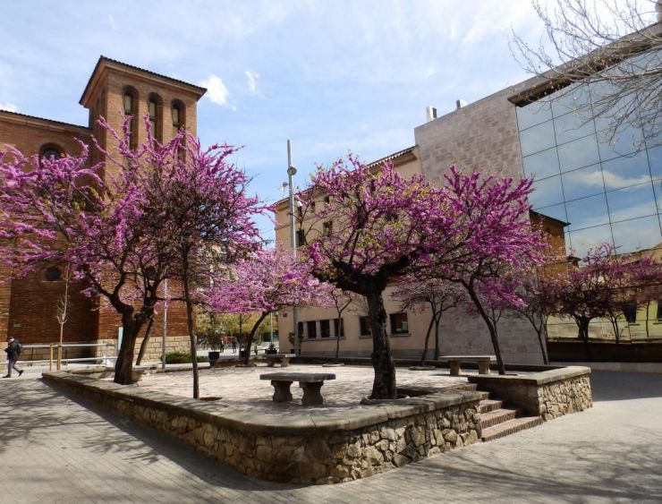 Hijo detenido por la muerte violenta de su madre en Cornellà de Llobregat