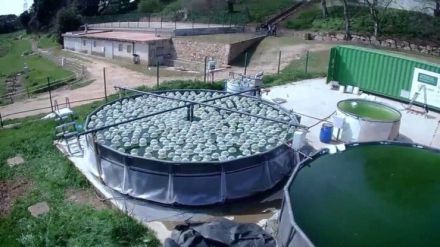 Nueva tecnología ecológica para limpiar aguas subterráneas contaminadas