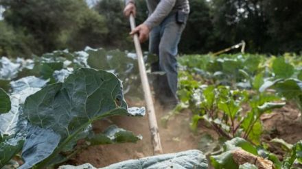 Día de la Lucha Campesina: Urge un cambio hacia la agroecología