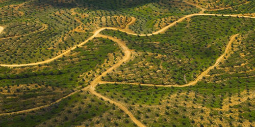 La mitad del Patrimonio Natural protegido por la UNESCO está en peligro por la industria