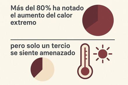 Alerta: Más del 80% ha notado el aumento del calor extremo, pero solo un tercio se siente amenazado