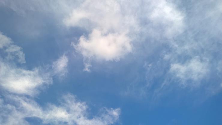 Del kaos al logos (XXIX): Las leyes del conflicto