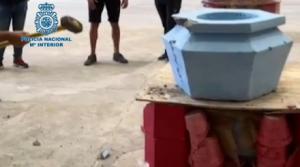 Cae una organización criminal que trasladaba cocaína oculta en maceteros