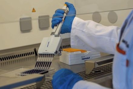 AIMPLAS impulsa la seguridad con nuevos recubrimientos ignífugos sostenibles y estudia bioplásticos