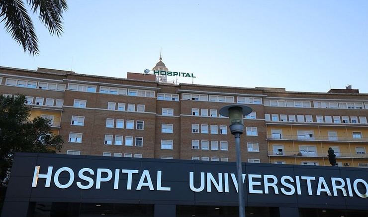 Dos personas heridas por un caballo desbocado en Sevilla