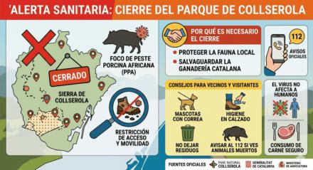 La peste porcina llega a Barcelona y cierra el parque de Collserola