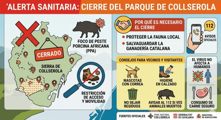 La peste porcina llega a Barcelona y cierra el parque de Collserola