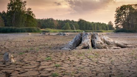 Aumento de la aridez climática en España en seis décadas
