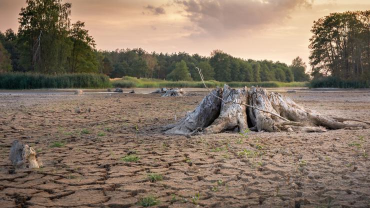 Aumento de la aridez climática en España en seis décadas