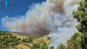 Incendios en España: Ávila bajo sospecha de incendio intencionado