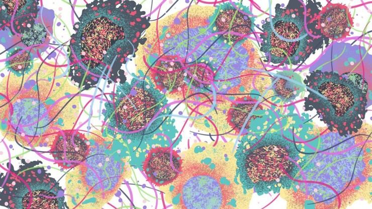 Revelan cómo los carcinomas orales evaden el sistema inmunitario
