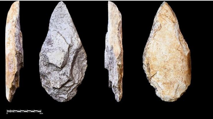 Hallan herramientas de piedra en Guinea Ecuatorial que evidencian la adaptación humana a la selva tropical