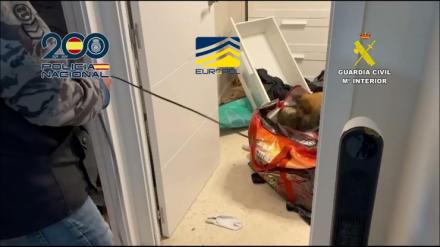 Desmantelada una red criminal que facilitaba inmigración irregular entre Argelia y España