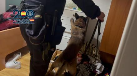 Desmantelan una red criminal que explotaba laboralmente a migrantes en panaderías