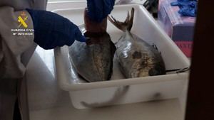Detenidos dos hombres por vender pescado robado con medicamentos en el mercado
