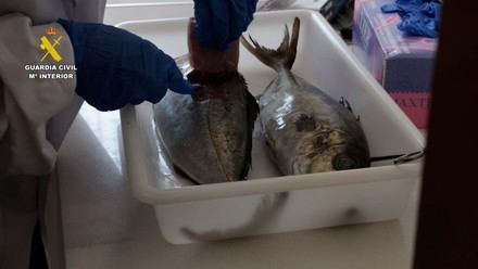 Detenidos dos hombres por vender pescado robado con medicamentos en el mercado