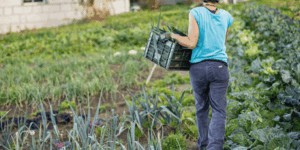 España puede adoptar una Dieta Climática con alimentos locales y sostenibles