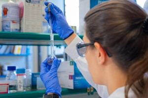 Iniciativas europeas innovadoras para gestionar sismos y estudiar células vivas